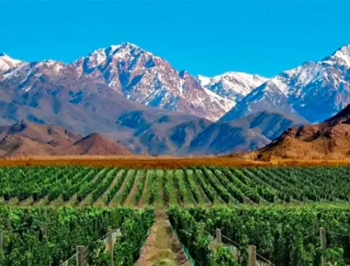 Circuito Cepas Argentinas