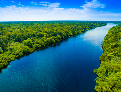 Experiência Amazônica