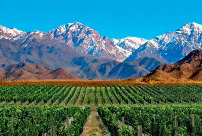 Circuito Cepas Argentinas