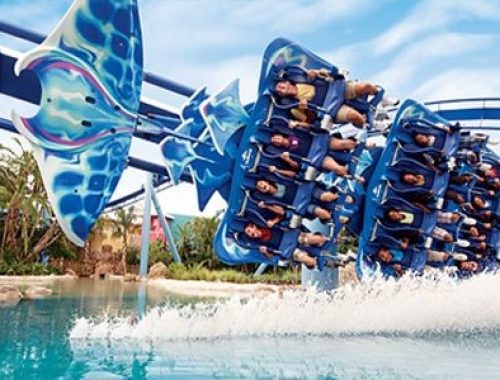 EXPLORE OS PARQUES SEAWORLD