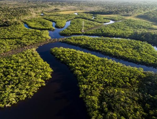 Manaus