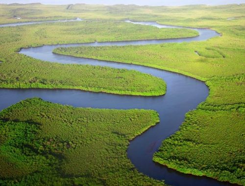 Pantanal