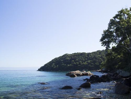 Praia de Guarajuba