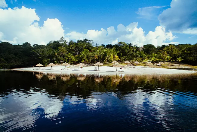 Amazon Eco Park